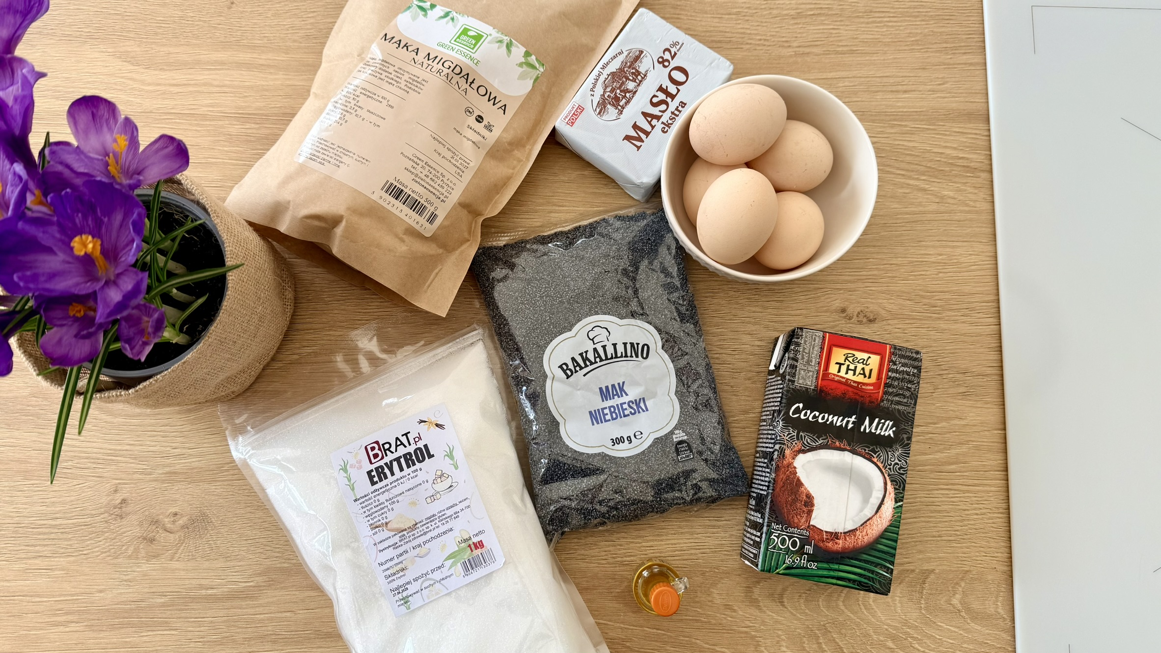 makowiec japoński makowiec japoński