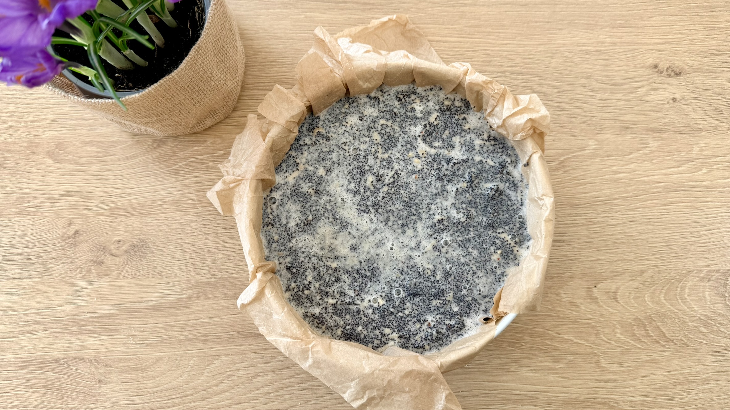 makowiec japoński makowiec japoński