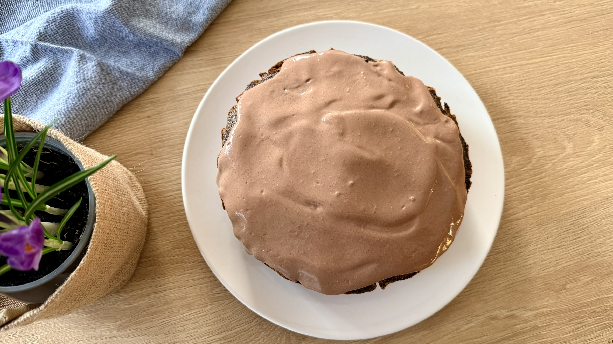 makowiec japoński makowiec japoński